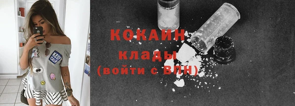 винт Абаза