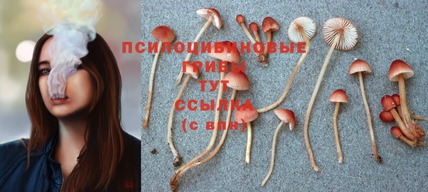 винт Абаза