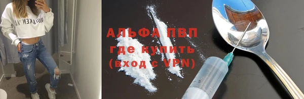 винт Абаза