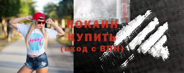 винт Абаза