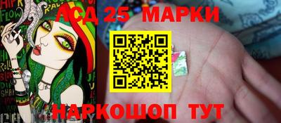 гидропоника Берёзовский