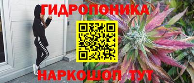 гидропоника Берёзовский
