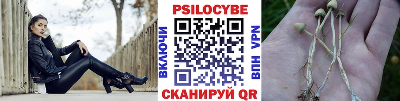 Псилоцибиновые грибы Psilocybe  Качканар 