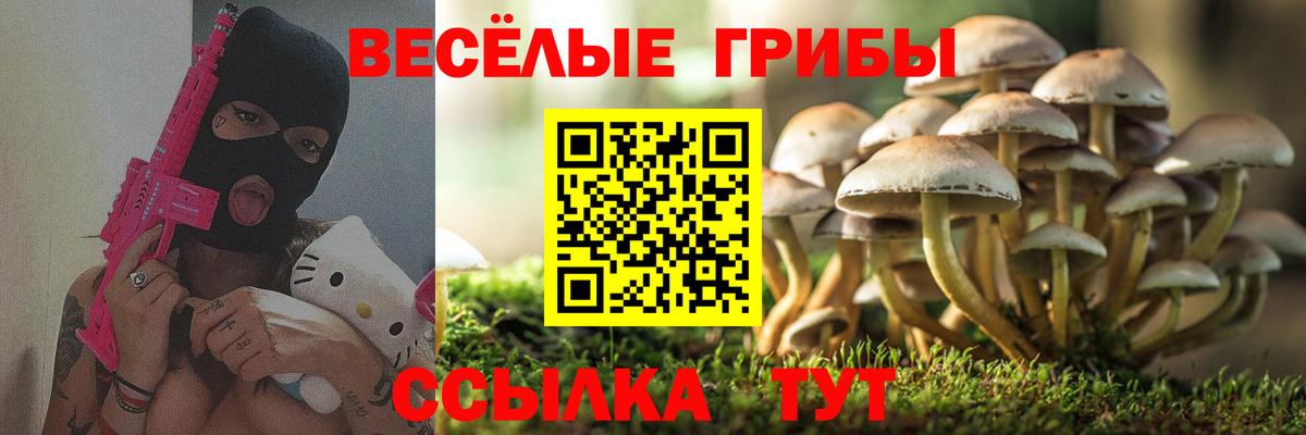 Псилоцибиновые грибы MAGIC MUSHROOMS Качканар