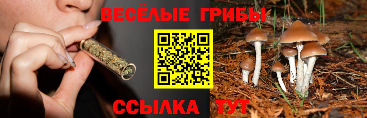 Галлюциногенные грибы GOLDEN TEACHER  Галлюциногенные грибы Magic Shrooms  Вход с VPN  Качканар 
